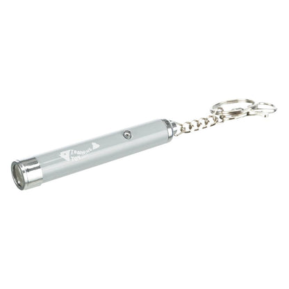 Apontador LED "Catch the light" para gatos