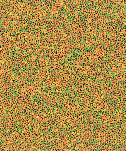 Versele Laga NutriBird B14 - Pellets para periquitos