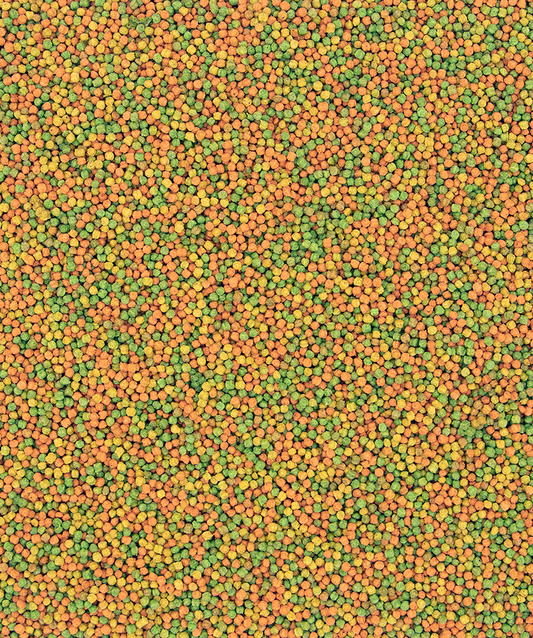 Versele Laga NutriBird B14 - Pellets para periquitos