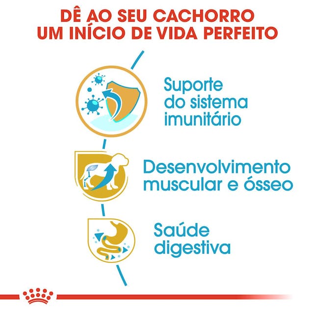 Royal Canin Rottweiler Puppy - Ração seca para cachorro de raça