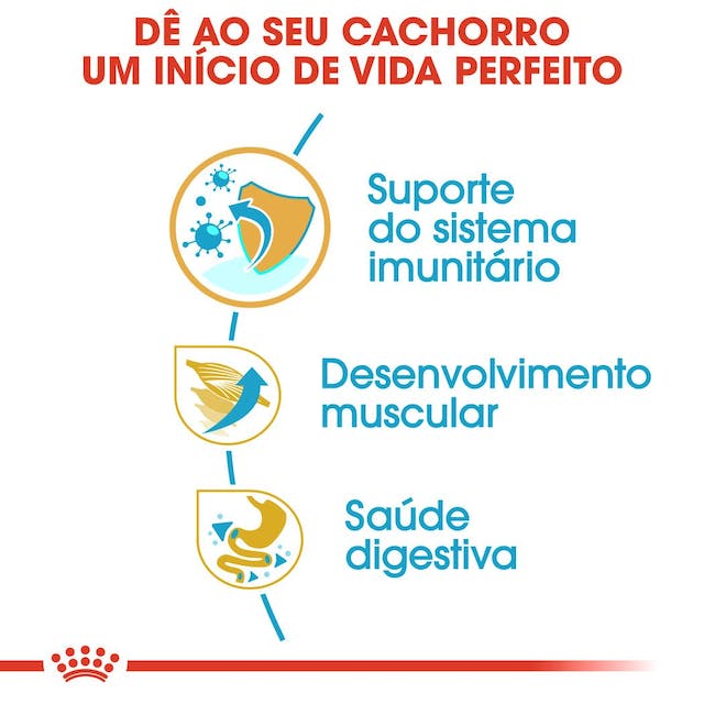 Royal Canin Boxer Puppy - Ração seca para cachorro de raça