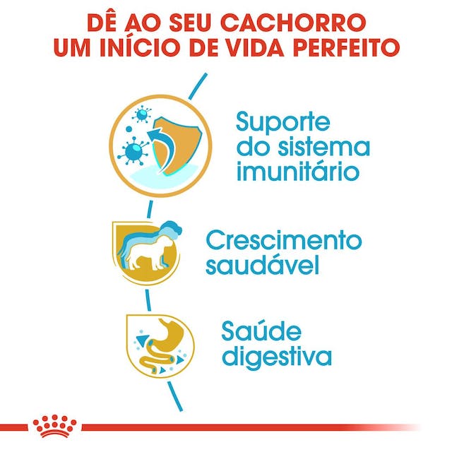 Royal Canin Jack Russell Puppy - Ração seca para cachorro de raça