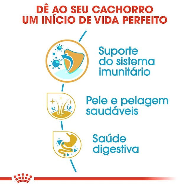 Royal Canin Golden Retriever Puppy - Ração seca para cachorro de raça