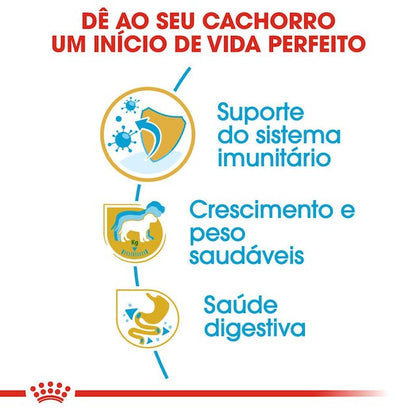 Royal Canin Labrador Retriever Puppy - Ração seca para cachorro de raça