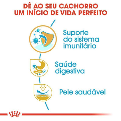 Royal Canin Bulldog Francês Puppy - Ração seca para cachorro de raça