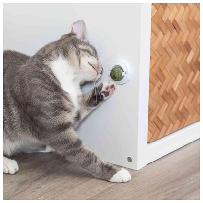 Bola de catnip com suporte para gatos