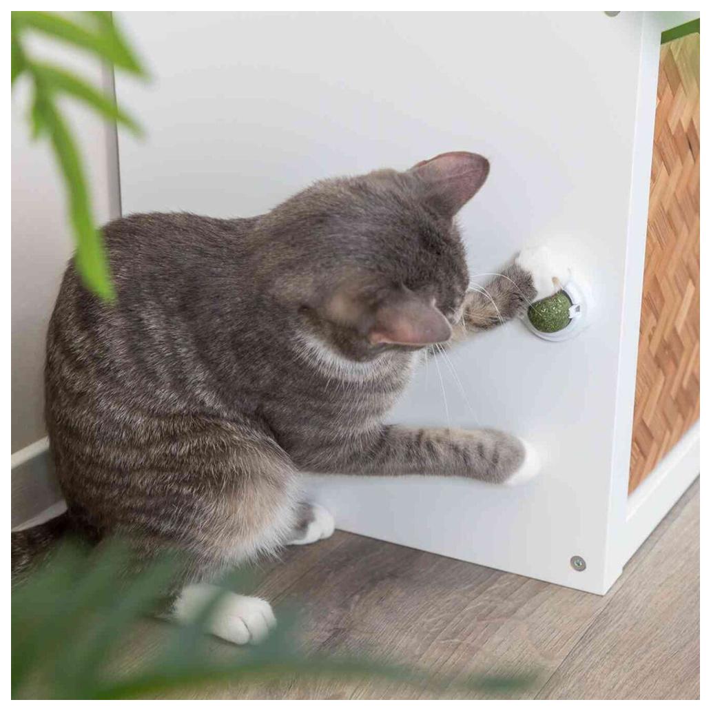 Bola de catnip com suporte para gatos