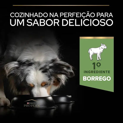 Pro Plan All Size Light & Sterilised Adult - Ração seca para cão adulto para controlar o peso - Sabor a Borrego