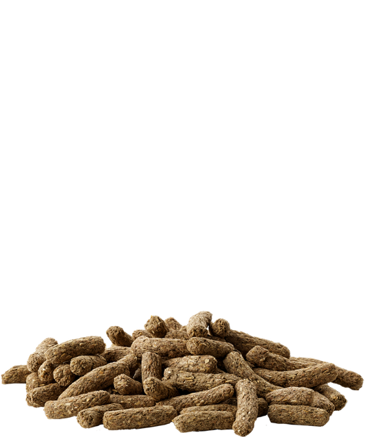 Versele Laga Complete Cavia -Alimento completo para porquinhos-da-índia