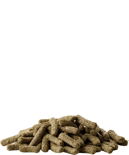 Alimento Chinchila & Degu Complete - Versele-Laga