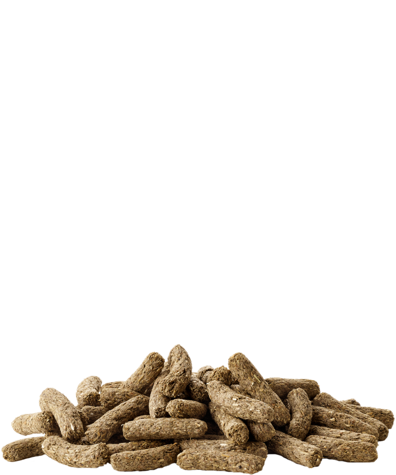 Versele-Laga Cuni Adulto Complete - Alimentação para coelhos adultos anões