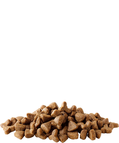 Versele-Laga Complete Ferret- Alimento completo para furões