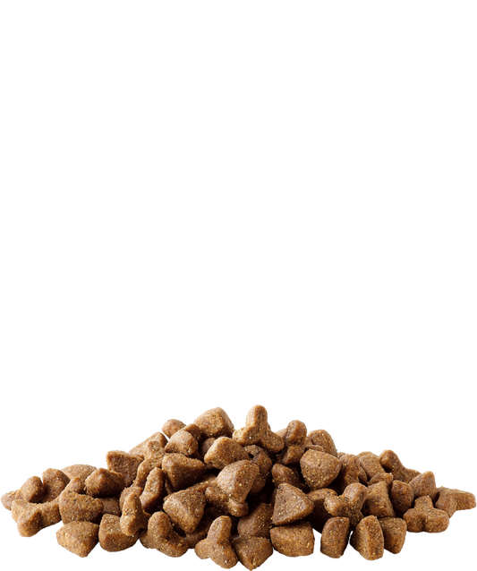 Versele-Laga Complete Ferret- Alimento completo para furões