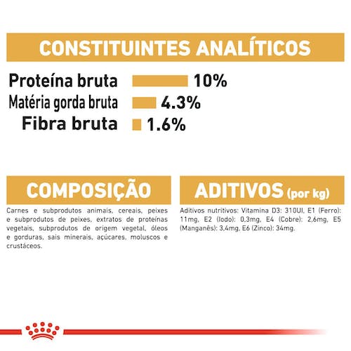 Royal Canin Maine Coon - Alimento húmido em molho para gatos de raça