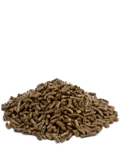 Versele Laga Crispy Pellets Chinchillas & Degus