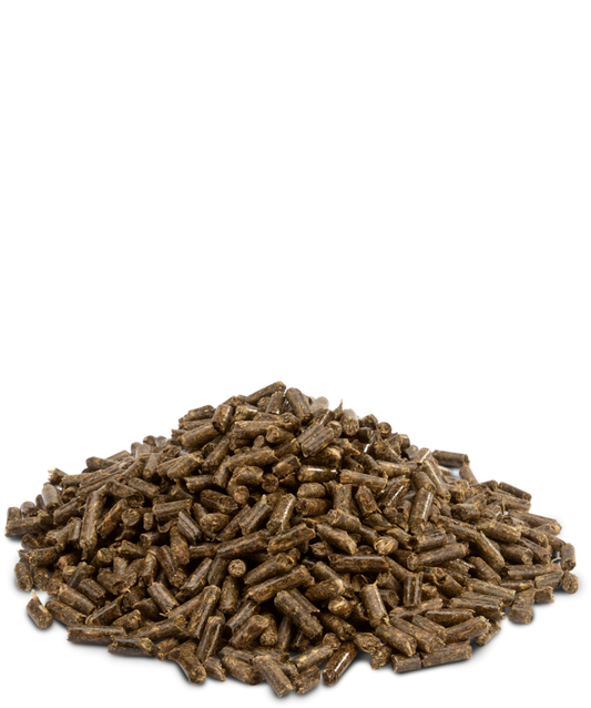 Versele Laga Crispy Pellets Chinchillas & Degus