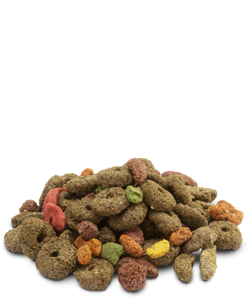 Versele Laga Crispy Snack Fibres para roedores