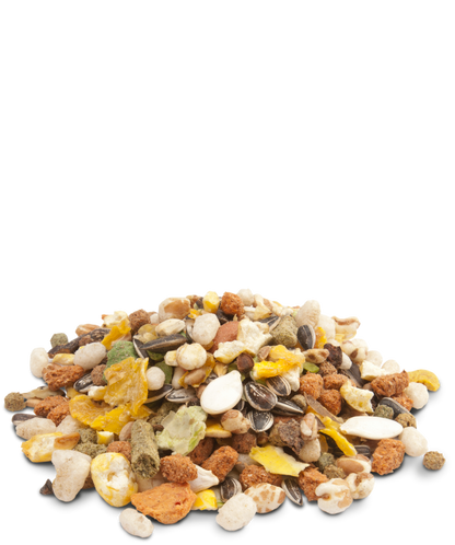 Crispy Muesli Hamster & Co - Versele Laga