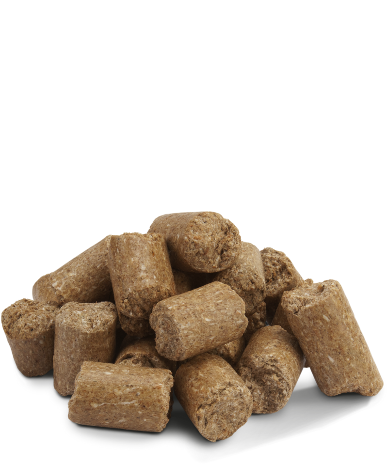 Versele Laga Crispy Pellets Rats & Mice - Alimento em pellets para ratos e ratazanas