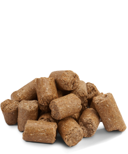 Versele Laga Crispy Pellets Rats & Mice - Alimento em pellets para ratos e ratazanas