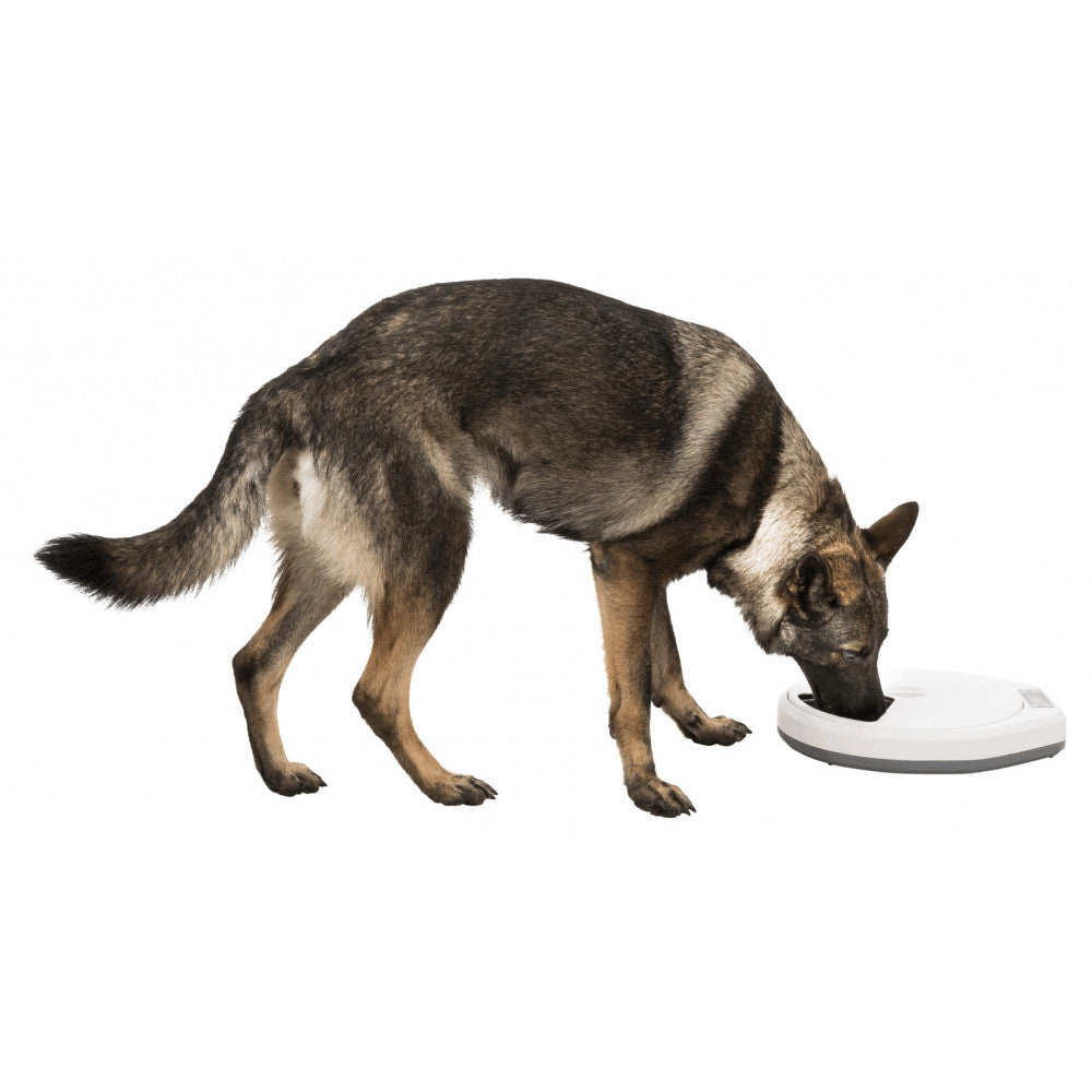 Dispensador Automático TX4 +1 - Trixie