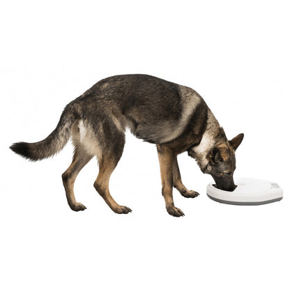 Dispensador Automático TX4 +1 - Trixie