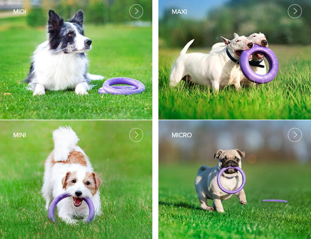 Anéis de borracha para cães - Dog Puller Fitness Tool