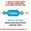 Royal Canin Labrador Retriever Puppy - Ração seca para cachorro de raça