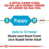 Royal Canin Jack Russell Puppy - Ração seca para cachorro de raça