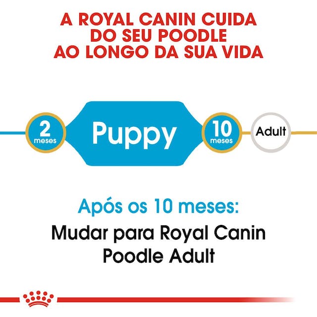 Royal Canin Poodle Puppy - Ração seca para cachorro de raça