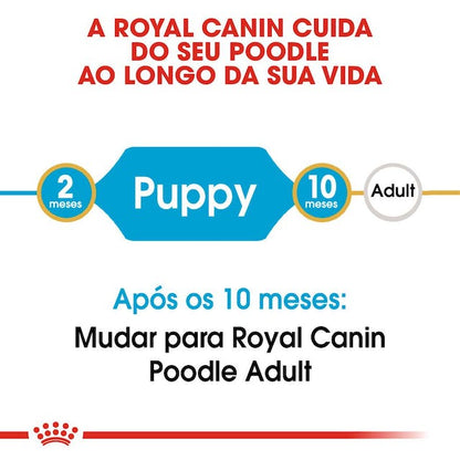 Royal Canin Poodle Puppy - Ração seca para cachorro de raça