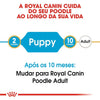 Royal Canin Poodle Puppy - Ração seca para cachorro de raça