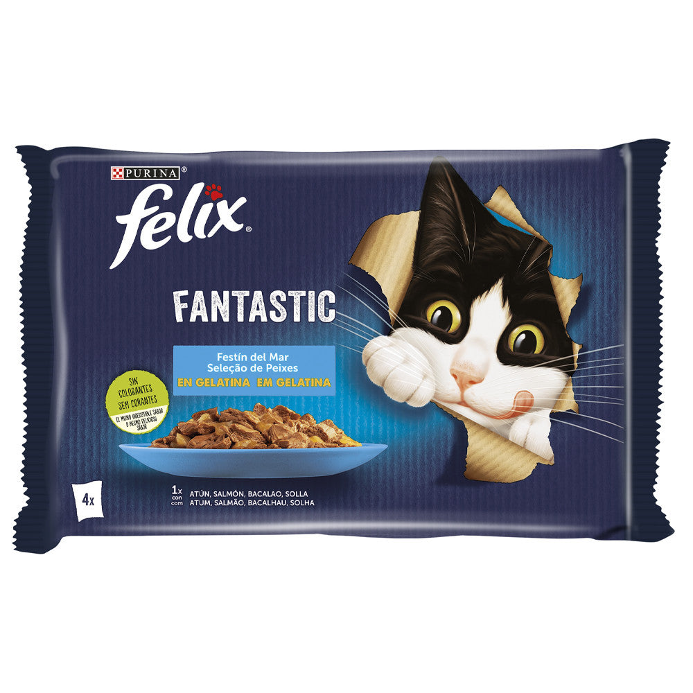 Felix Fantastic - Alimento em gelatina - Seleção de peixes