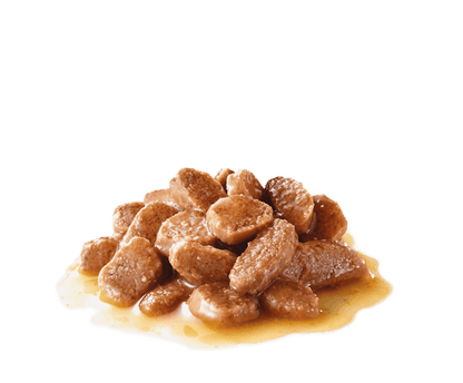 Royal Canin VET Skin & Coat - Alimento húmido para gatos com dermatite e queda de pelo