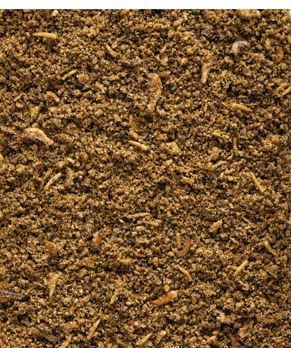 Orlux Insect Patee - Versele-Laga