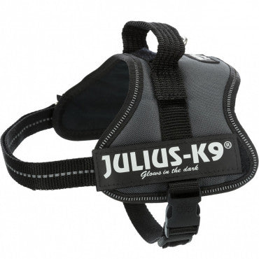 Julius K-9 Peitoral para cão - Cinzento