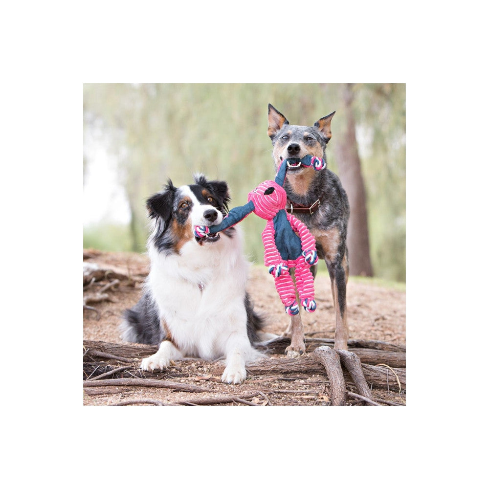 Kong Floppy Knots Coelho para cães