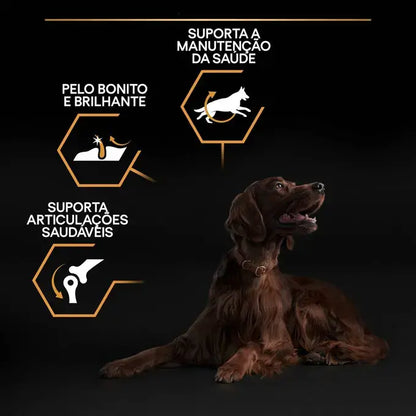Pro Plan Everyday Nutrition Large Athletic Adult - Ração seca para cão adulto de porte grande - Sabor a Frango