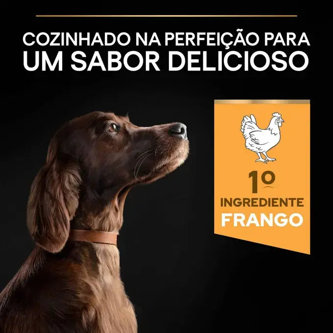 Pro Plan Everyday Nutrition Large Athletic Adult - Ração seca para cão adulto de porte grande - Sabor a Frango