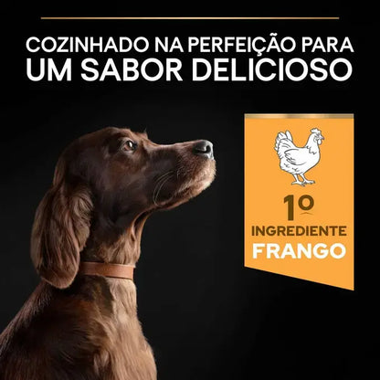 Pro Plan Everyday Nutrition Large Athletic Adult - Ração seca para cão adulto de porte grande - Sabor a Frango