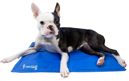 Freedog Tapete Refrescante para Cães e Gatos