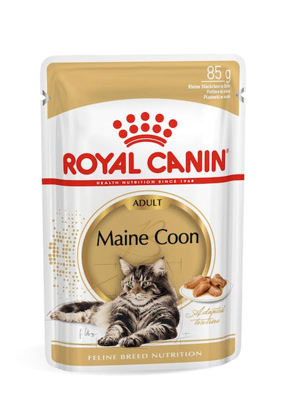 Royal Canin Maine Coon - Alimento húmido em molho para gatos de raça