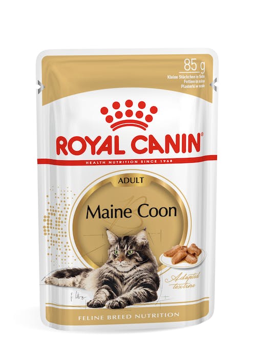 Royal Canin Maine Coon - Alimento húmido em molho para gatos de raça