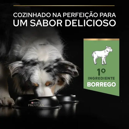 Pro Plan Sensitive Digestion Medium Adult - Ração seca para cão adulto de porte médio - Sabor a Borrego
