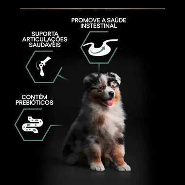 Pro Plan Sensitive Digestion Medium Puppy - Ração seca para cachorro de porte médio - Sabor a Borrego