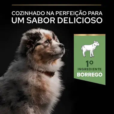 Pro Plan Sensitive Digestion Medium Puppy - Ração seca para cachorro de porte médio - Sabor a Borrego