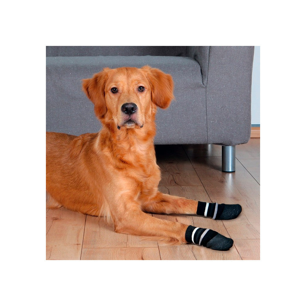Meias para Cão - Trixie