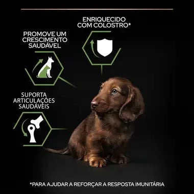 Pro Plan Healthy Start Small & Mini Puppy - Ração seca para cachorro de porte pequeno - Sabor a frango