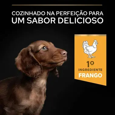 Pro Plan Healthy Start Small & Mini Puppy - Ração seca para cachorro de porte pequeno - Sabor a frango