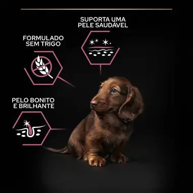 Pro Plan Sensitive Skin Small & Mini Puppy - Ração seca para cachorro de porte pequeno - Sabor a Salmão
